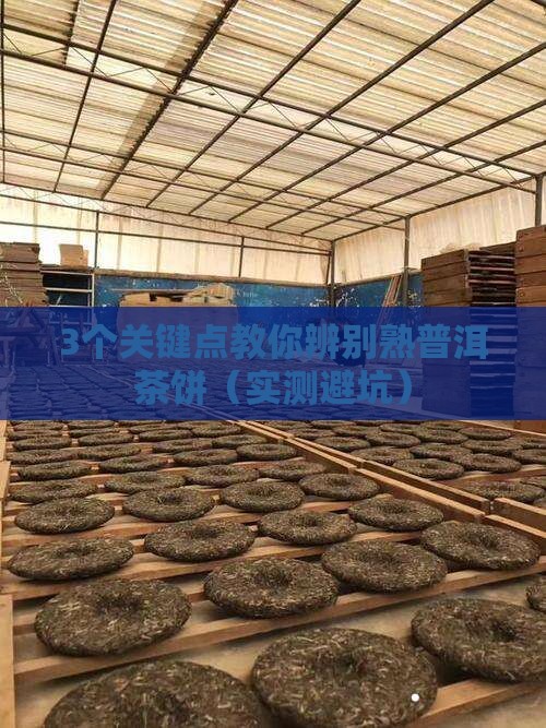 熟普洱茶的茶饼是什么样的