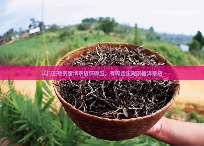 江门正规的普洱茶