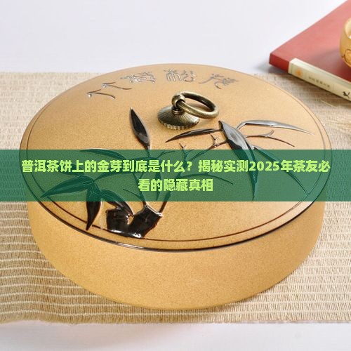 普洱茶饼上面的金芽