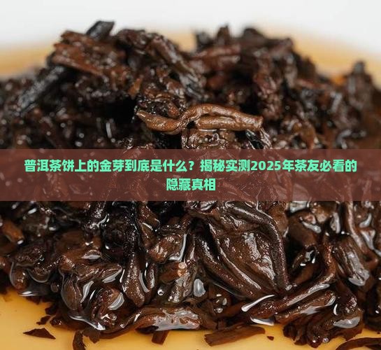 普洱茶饼上面的金芽