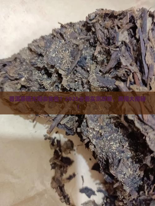 普洱茶可以晒吗为什么会变色
