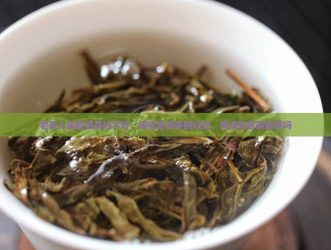 老茶人喝普洱茶