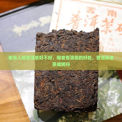 老茶人喝普洱茶