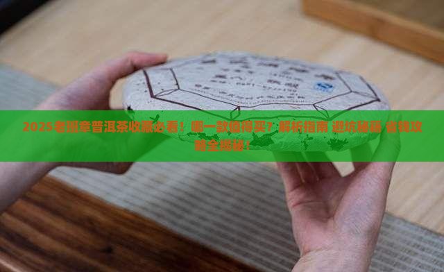 哪一款老班章普洱茶值得购买藏