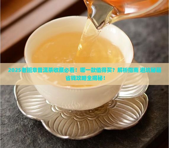 哪一款老班章普洱茶值得购买藏