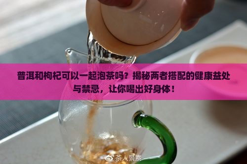 普洱和枸杞可以一起泡茶吗