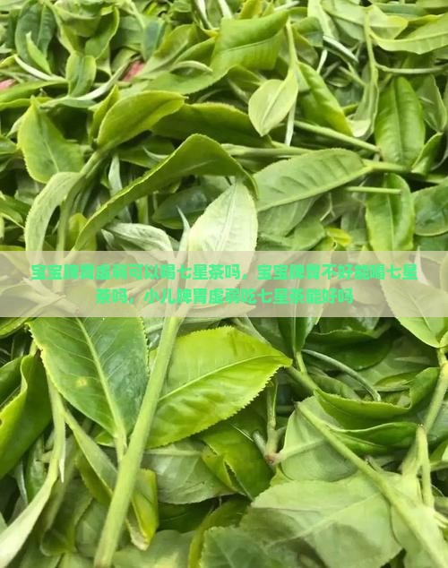 宝宝脾胃虚弱可以喝七星茶吗