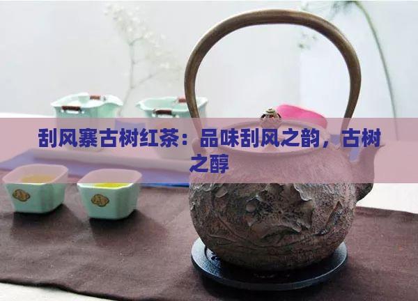 刮风寨古树红茶
