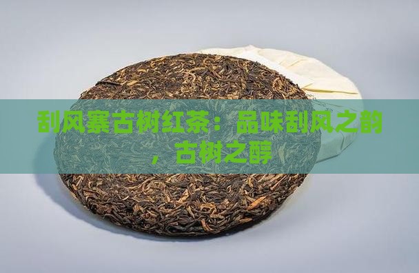 刮风寨古树红茶
