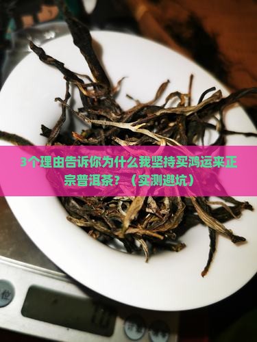 鸿运来正宗普洱茶