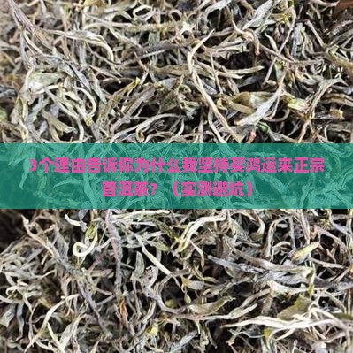 鸿运来正宗普洱茶