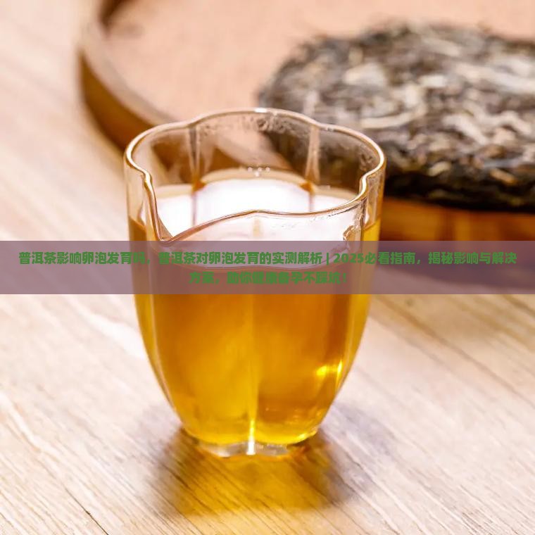 普洱茶影响卵泡发育吗