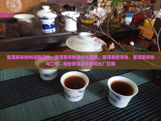 普洱茶年份叫法