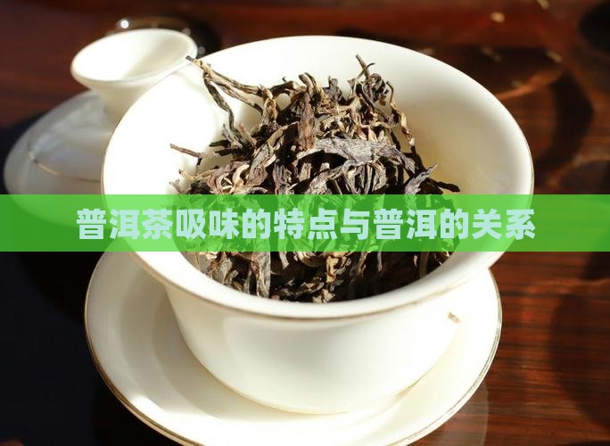 普洱茶吸味有什么特点