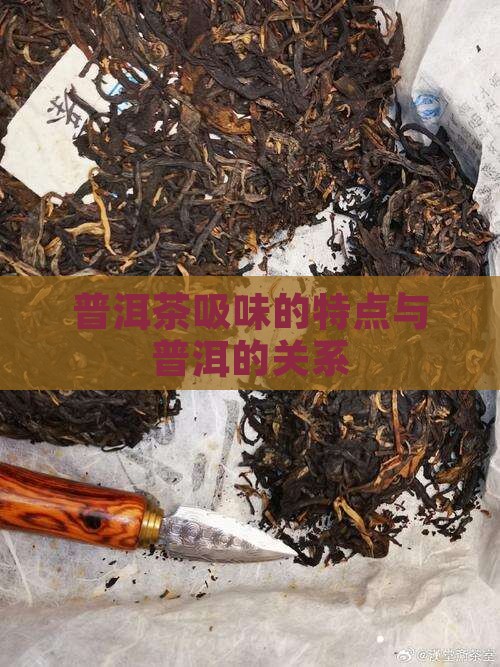 普洱茶吸味有什么特点