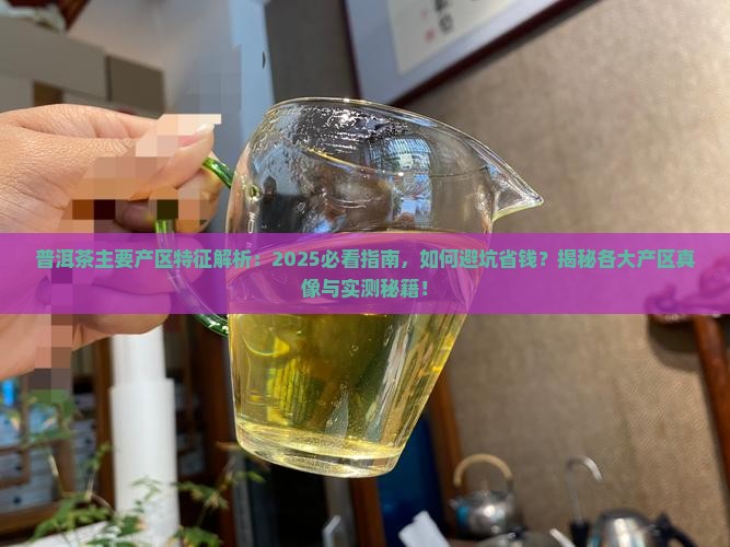 普洱茶主要产区特征为