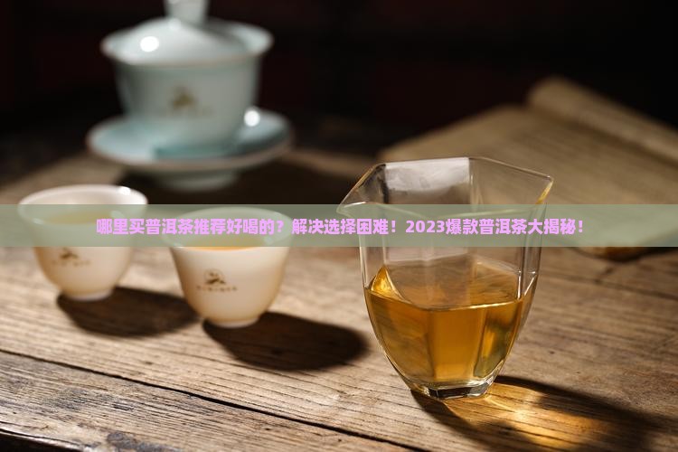 哪里买普洱茶推荐好喝的