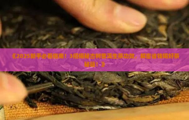 古树普洱茶生茶功用