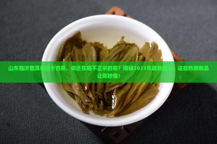 山东临沂普洱茶班卡古茶