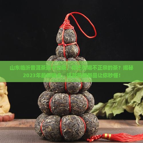 山东临沂普洱茶班卡古茶