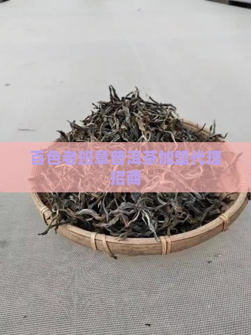 百色老班章代理加盟