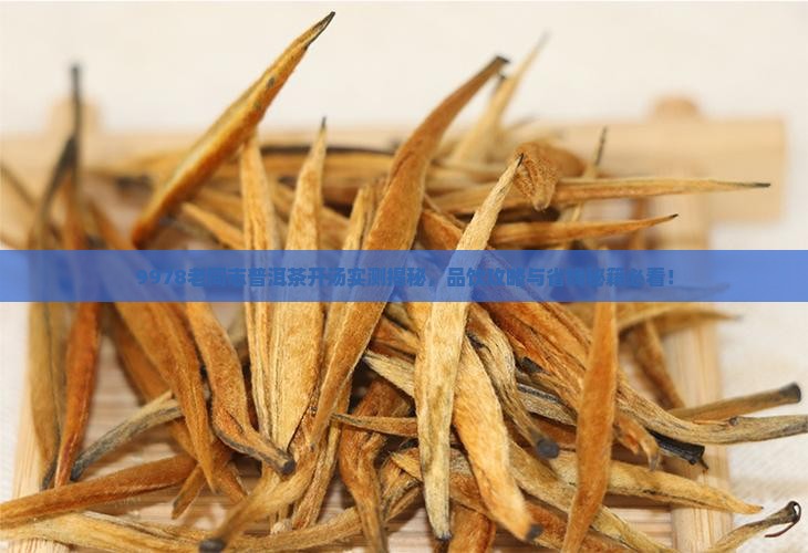 老同志普洱茶9978开汤