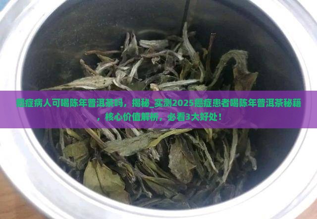 癌症病人可喝陈年普洱茶吗