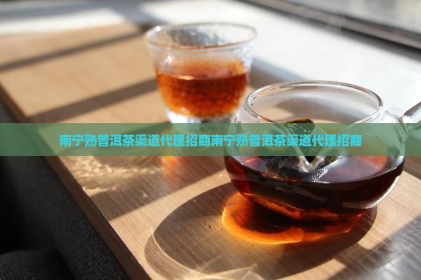 南宁熟普洱茶渠道代理招商