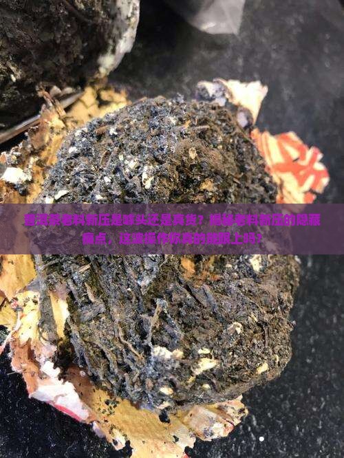 普洱茶老料新压的茶饼