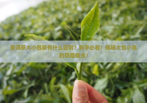 普洱茶大小包装区别
