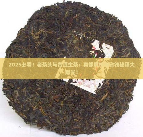 关于老茶头老茶头与普洱生茶
