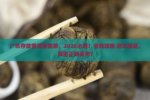 广东存放普洱茶散茶