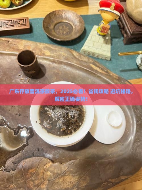 广东存放普洱茶散茶