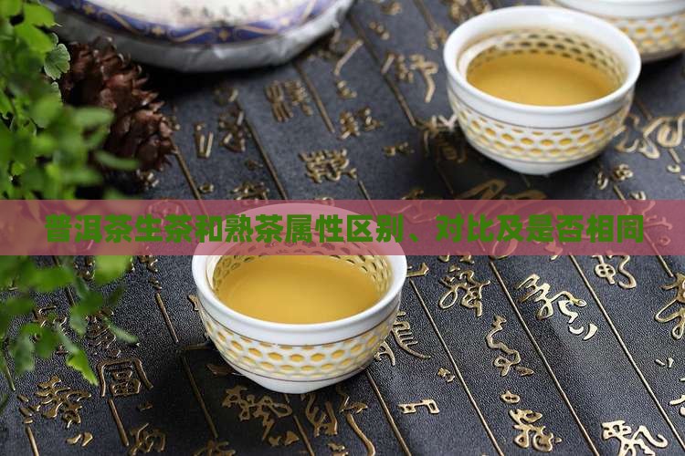 普洱茶生茶和熟茶属性