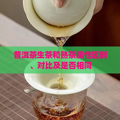 普洱茶生茶和熟茶属性