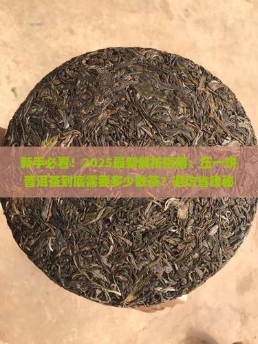 多少散茶压一饼普洱茶