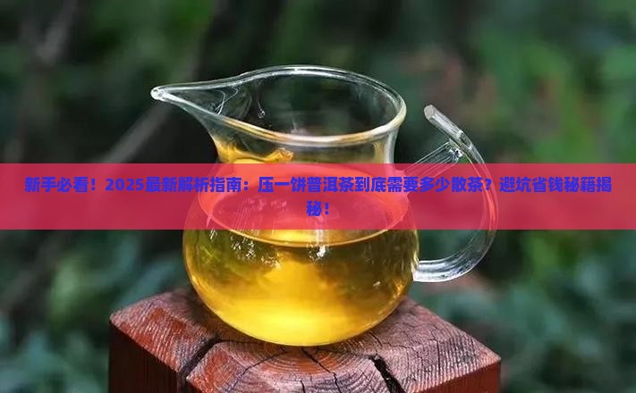 多少散茶压一饼普洱茶