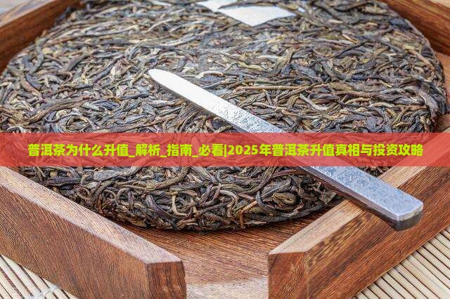 普洱茶为什么升值