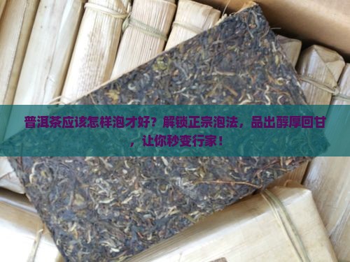 普洱茶应该怎样泡才好