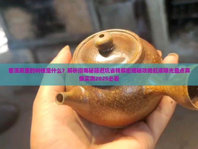 普洱茶里面的树枝是什么