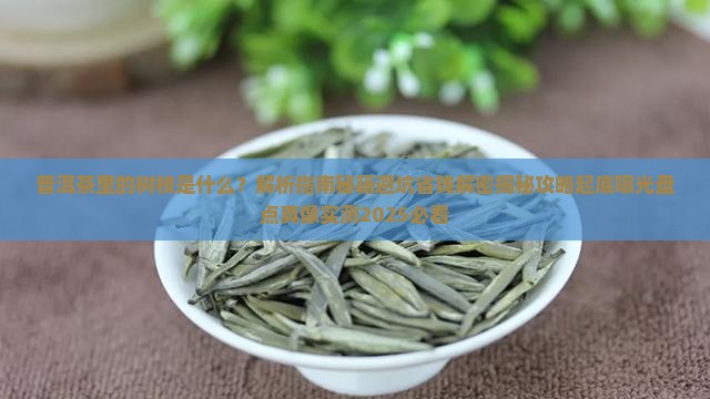 普洱茶里面的树枝是什么