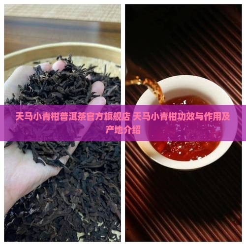 天马小青柑普洱茶官方旗舰店