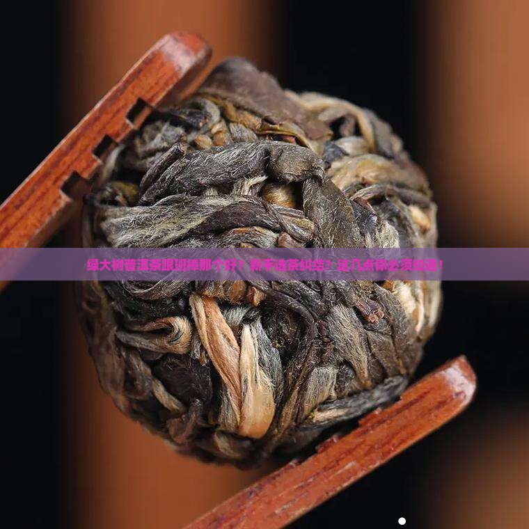 绿大树普洱茶跟班樟那个好