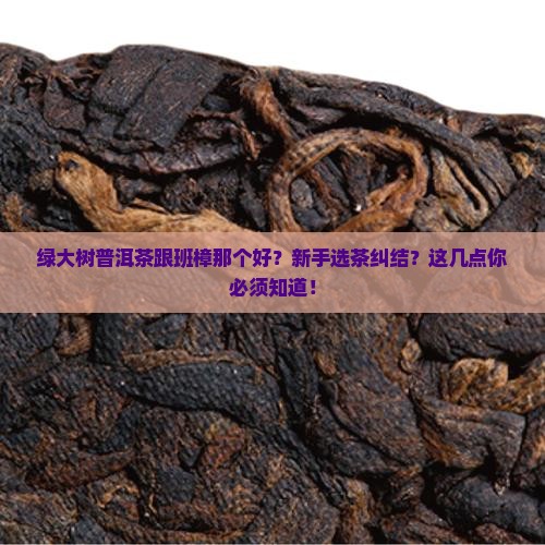 绿大树普洱茶跟班樟那个好