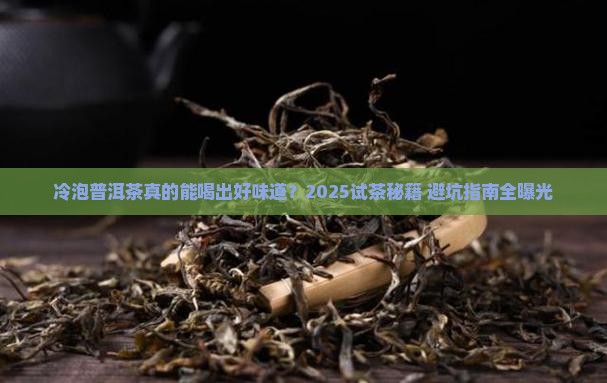 普洱茶冷泡试茶