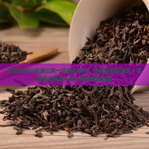 普洱茶能和蒲公英一起泡