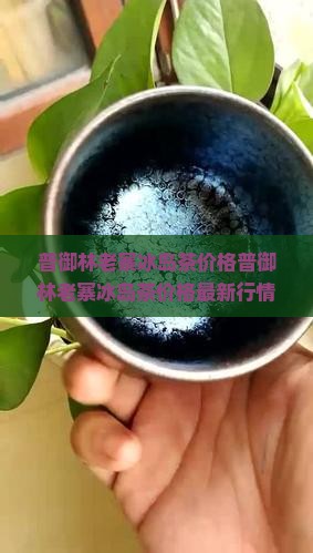 普御林老寨冰岛茶价格
