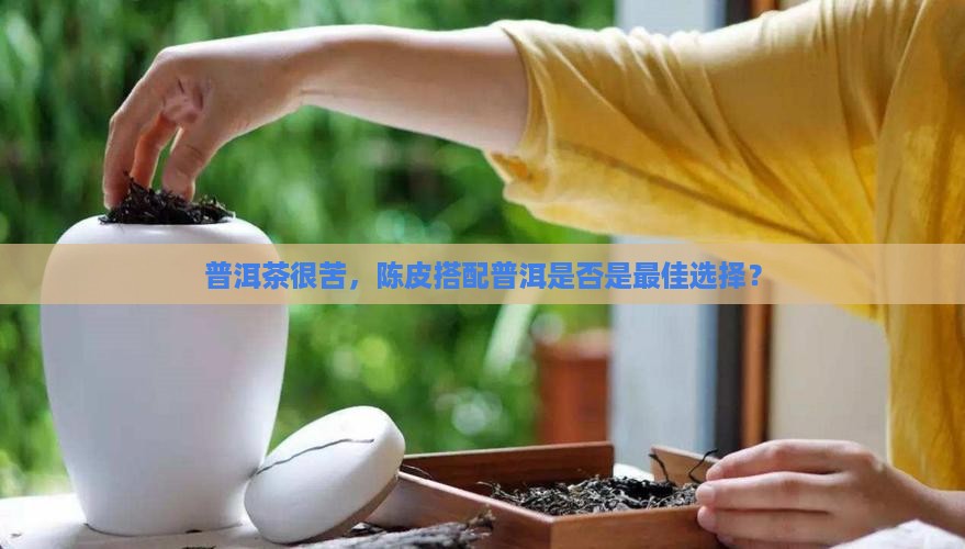 普洱茶很苦要泡陈皮吗