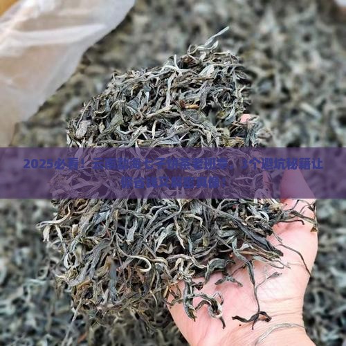 云南勐海七子饼茶老班章