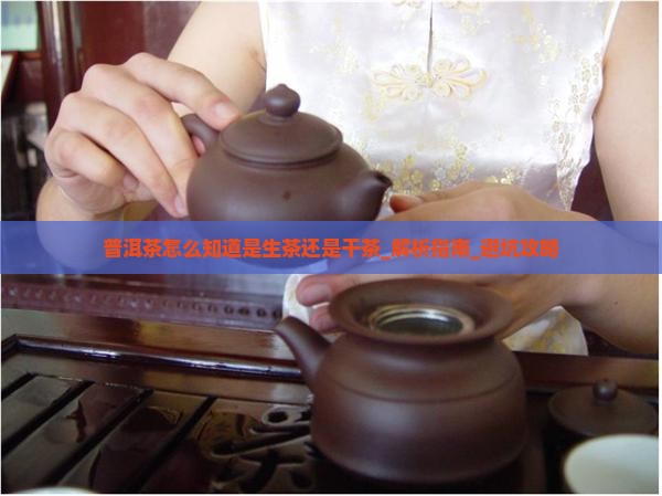 普洱茶怎么知道是生茶还是干茶